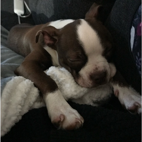 SHARE SHOW ❤️ Like to Get Notified 🔥✨ - Picture 8 of 8